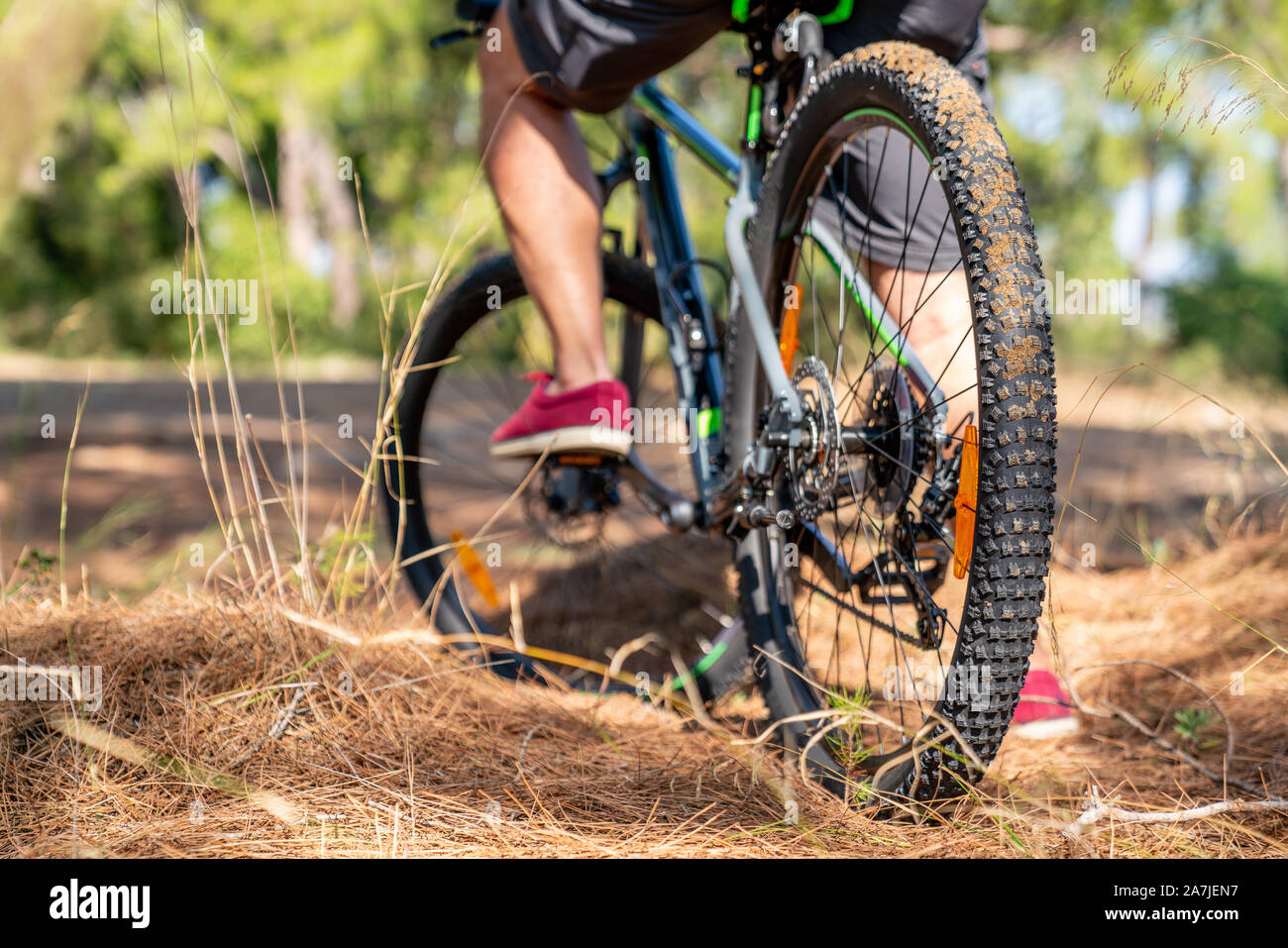 Riding mountain bike in the forest for a healthy life. Stock Photo