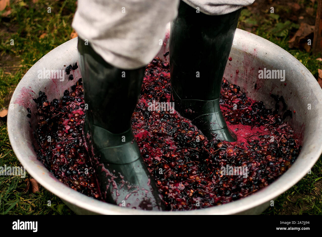 Pressing grapes online