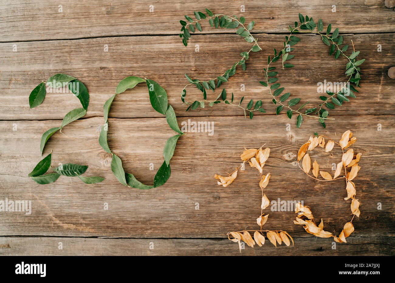 2020 new year concept with fresh and dried leaves, metmorphing the changes of years. Stock Photo