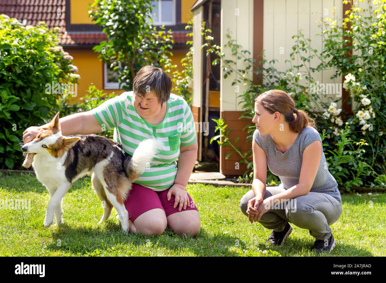mentally disabled woman with a second woman and a companion dog, concept learning by animal assisted living Stock Photo