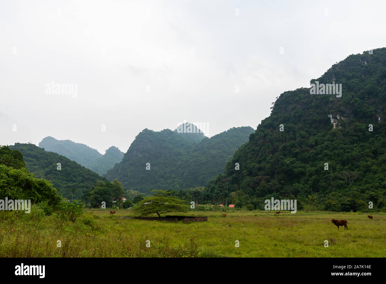 The beautiful hidden Cat Ba Island which is regularly visited by boat
