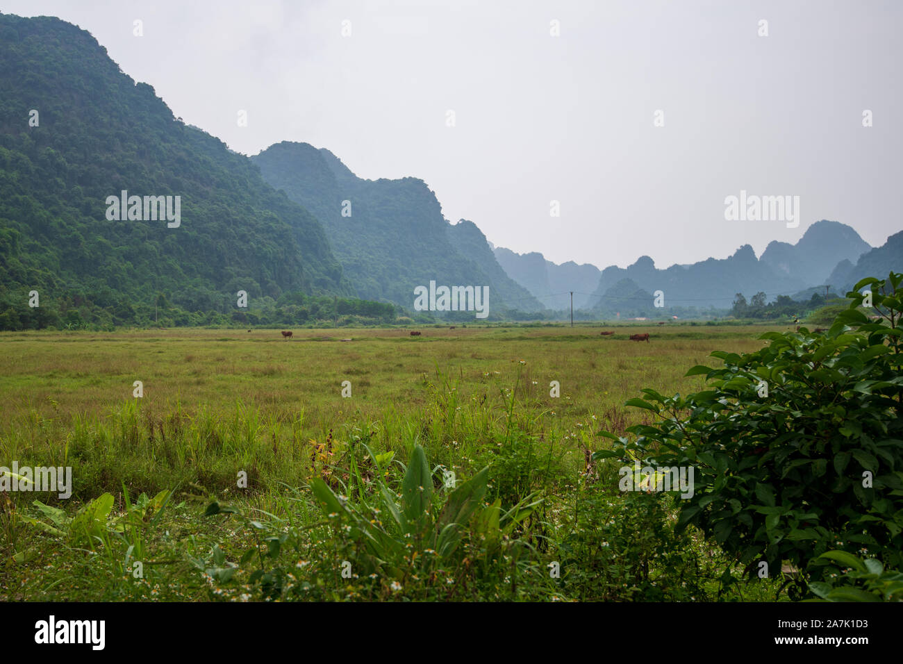 The beautiful hidden Cat Ba Island which is regularly visited by boat