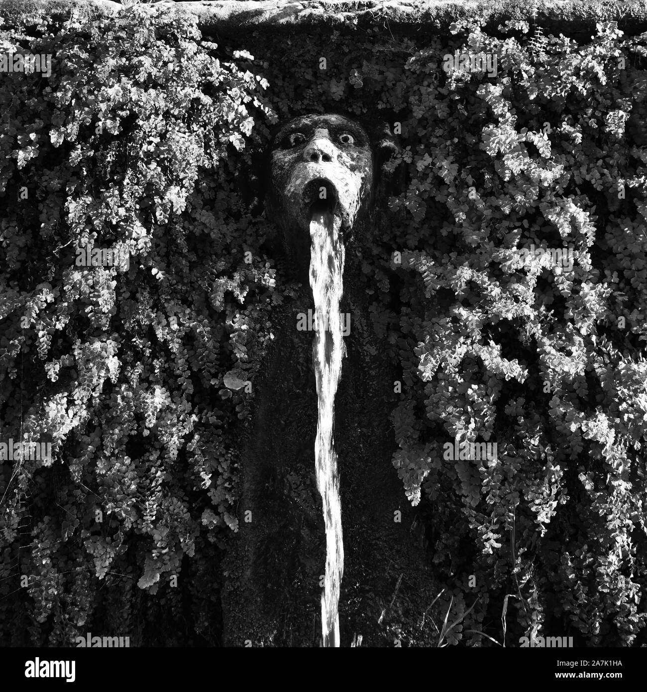 Monkey face. Detail of the luxury Villa d'Este in Tivoli, near to Rome - Italy Stock Photo