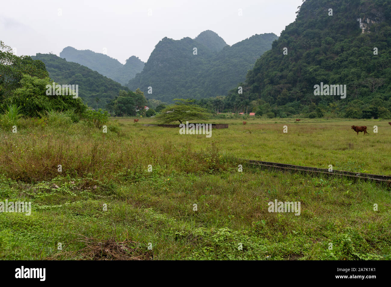 The beautiful hidden Cat Ba Island which is regularly visited by boat