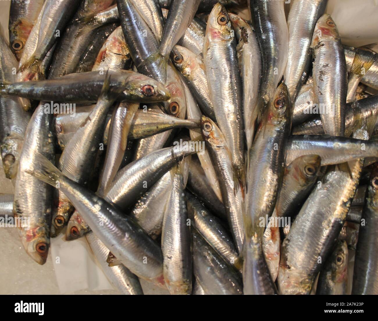Fresh Italian sea fish with ice background image Stock Photo - Alamy