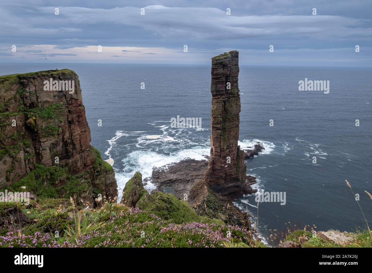 The Old Man of Hoy, a sea stack on Hoy, Orkney Islands, Scottish Highlands Stock Photo Alamy