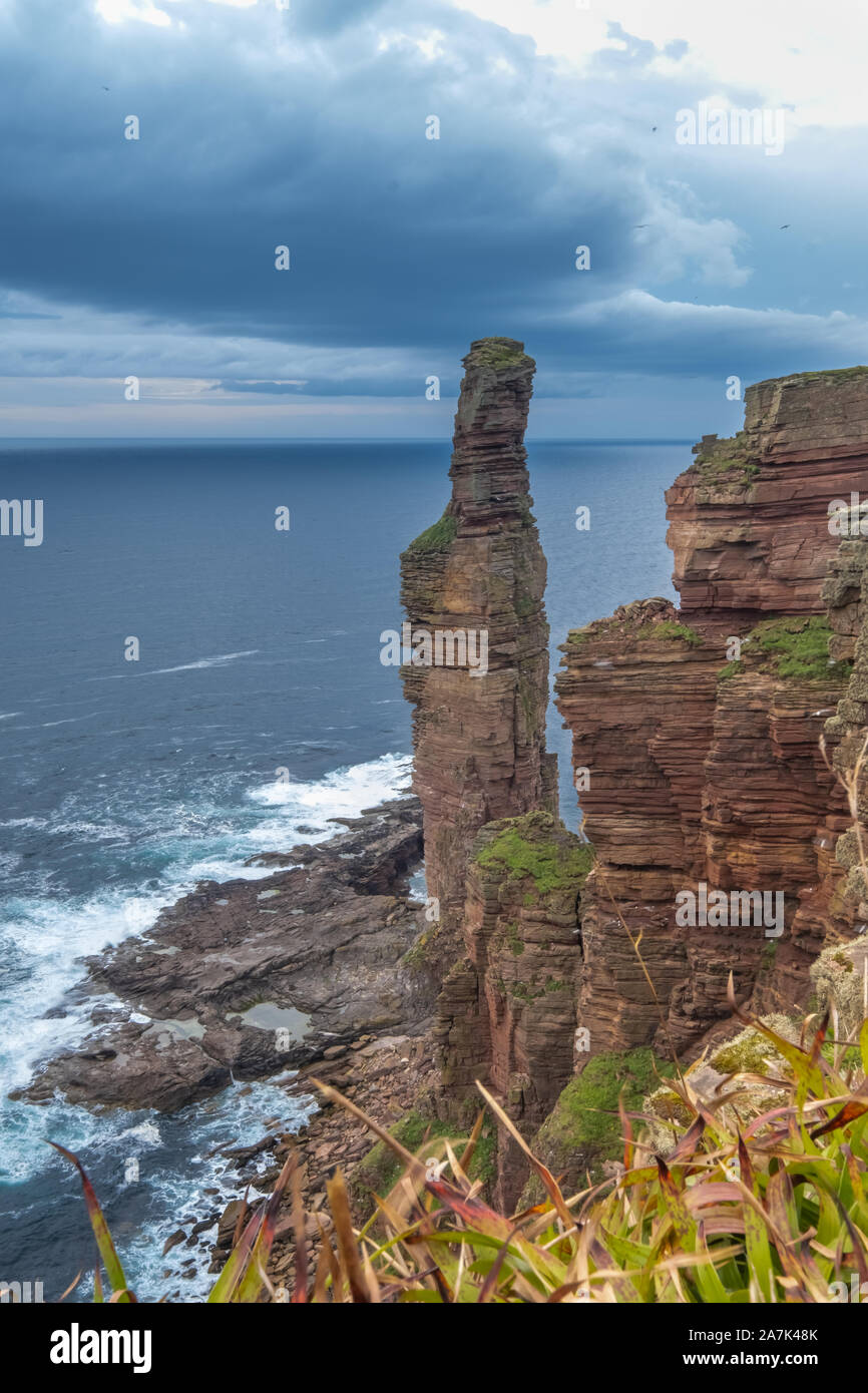 The Old Man of Hoy, a sea stack on Hoy, Orkney Islands, Scottish Highlands Stock Photo Alamy