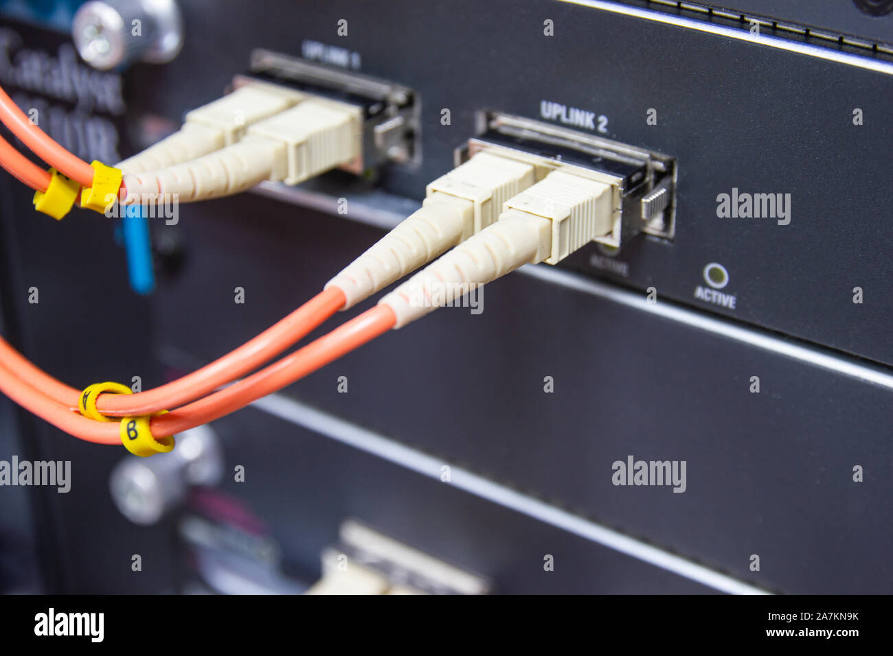 cable network , fiber optic cable connect to switch port in server room