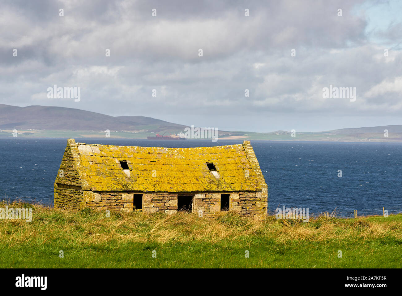 Ruined building covered in yellow lichen, Hoxa Head, South Ronaldsay, Orkney, Scotland Stock Photo