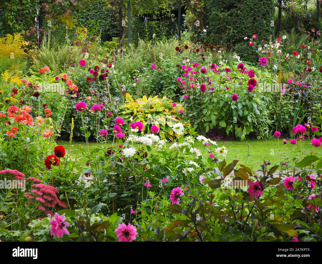 Approaching Autumn at Chenies Manor garden. The sunken garden wth colourful dahlia varieties, hosta leaves with red, pink,purple blooms and path. Stock Photo