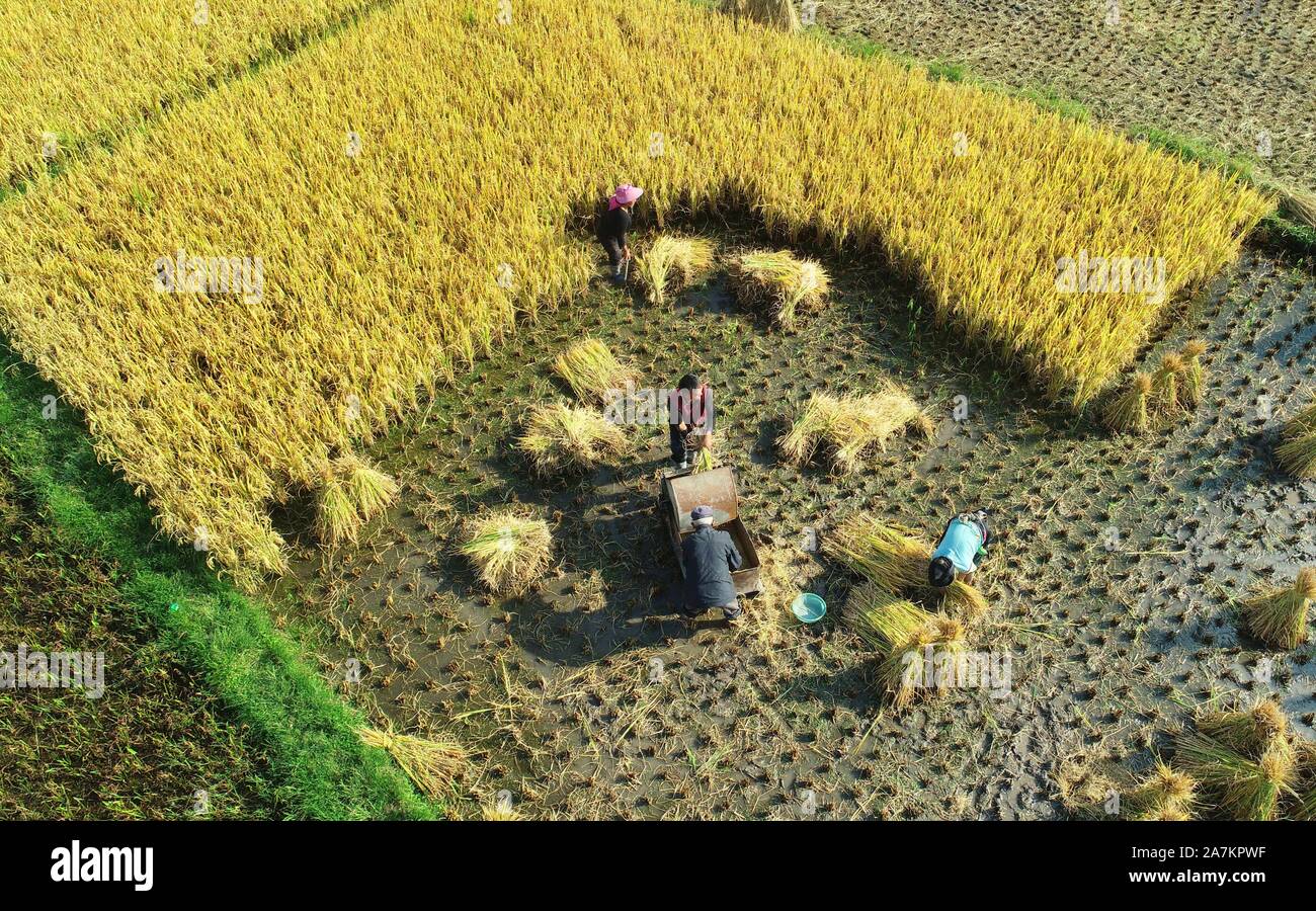 Aerial views of croplands on which farmers harvesting at Huaxi district of Guiyang city, southwest China's Guizhou province, 24 September 2019. *** Lo Stock Photo
