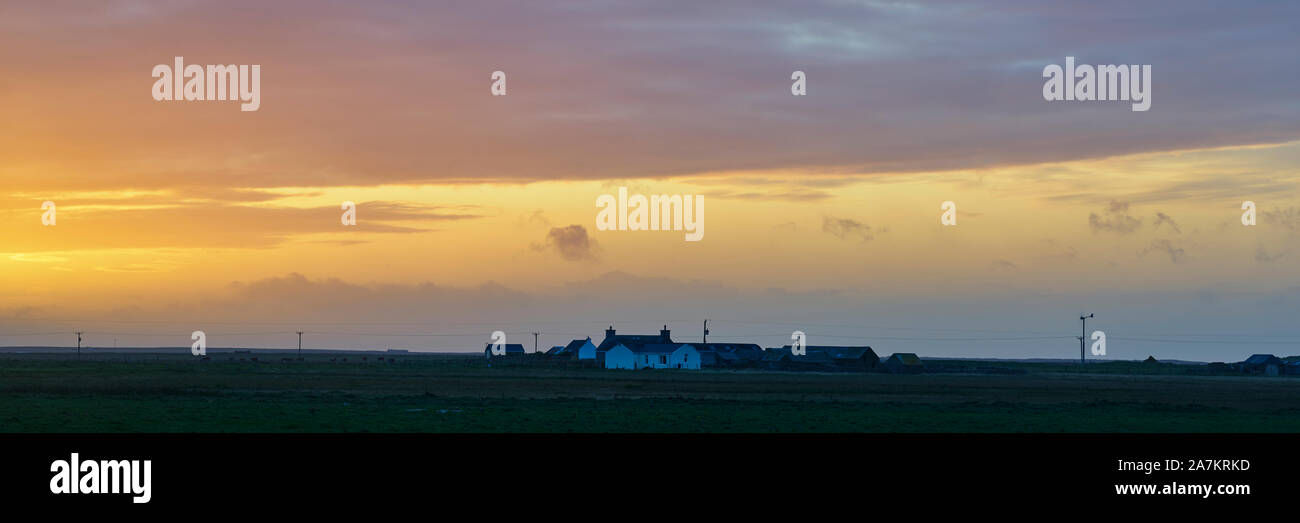 Farm scene at sunset, Rusness, Northwall, Sanday, Orkney, Scotland Stock Photo