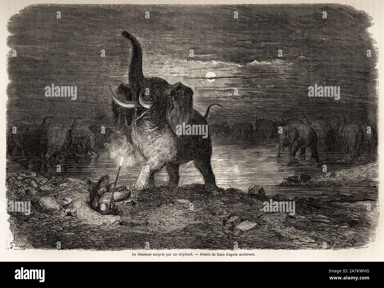 Le Chasseur Surpris Par Un Elephant Pres Du Lac Ngami Botswana Dessin De Gustave Dore 12 18 Pour Illustrer Les Aventures Et Chasses De Cha Stock Photo Alamy Le Chasseur Surpris Par Un Elephant Pres Du Lac Ngami Botswana Dessin De Gustave Dore 12 18 Pour Illustrer Les Aventures Et Chasses De Cha Stock Photo Alamy