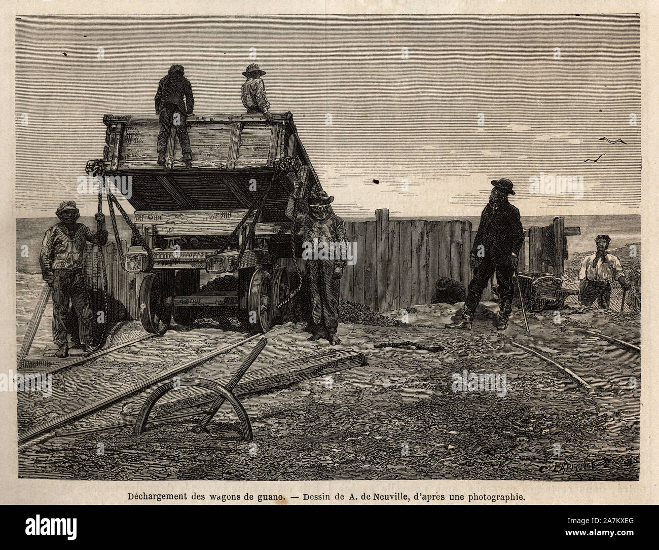 Dechargement des wagons de guano, dans les iles Chincha ( Ocean Pacifique, pres de la cote sud ouest du Perou), dont le principal interet etait l'expl Stock Photo