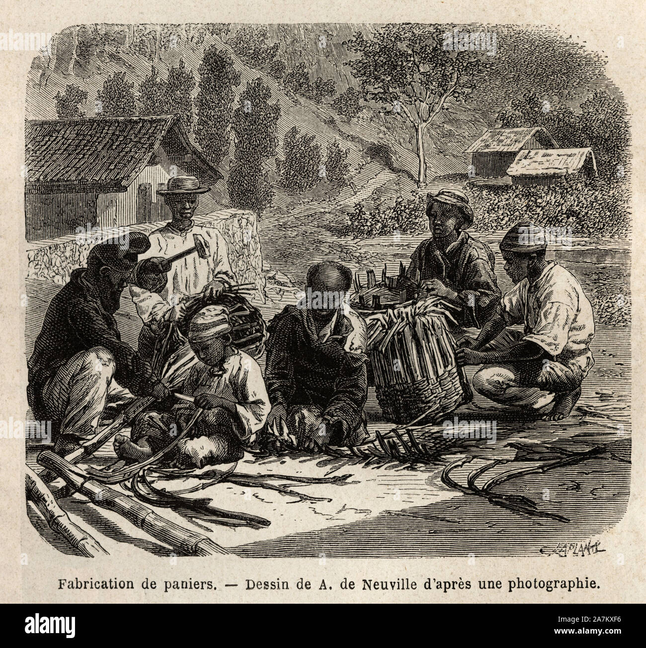 Panier de basket et palmier hires stock photography and images Alamy