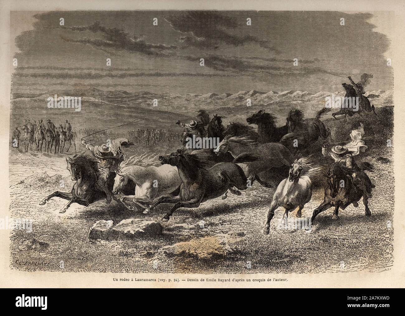 Un rodeo a Lauramarca ( Bas Perou), la capture des chevaux sauvages, avant leur marquage au fer avec les  initiales du proprietaire de la region, cons Stock Photo