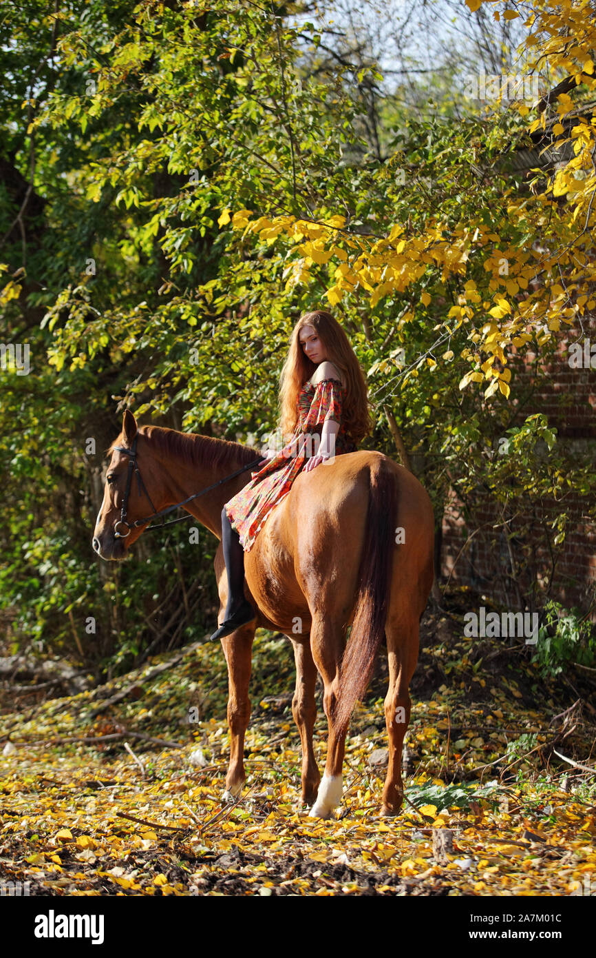 Beautiful country girl bareback ride her horse in autumn country road at sunset Stock Photo Alamy