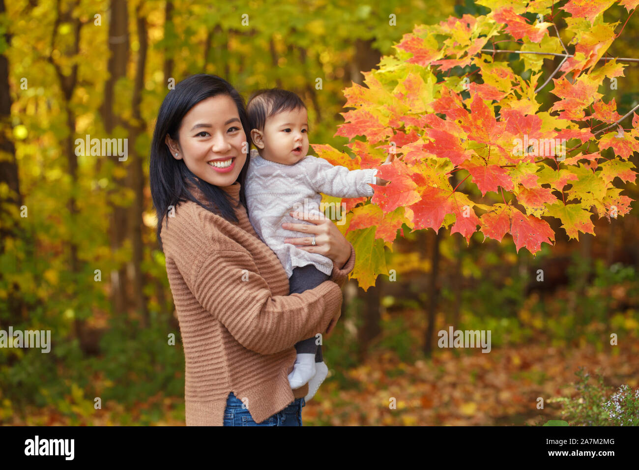 Asian Chinese mother holding cute adorable  baby girl on hands in autumn fall park outdoor with yellow orange leaves trees. Halloween or Thanksgiving Stock Photo