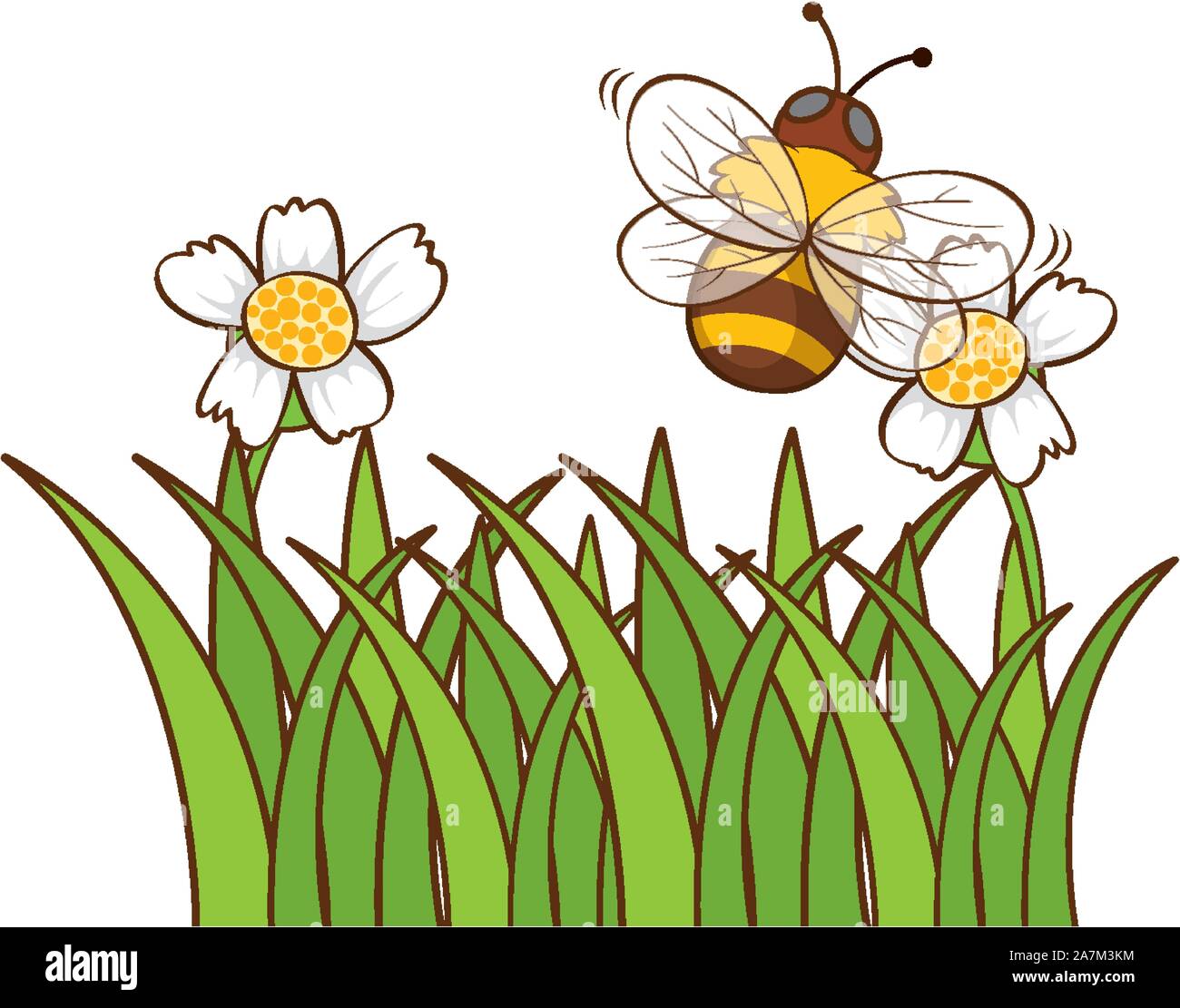 Bee Flying In Garden Illustration Stock Vector Image Art Alamy