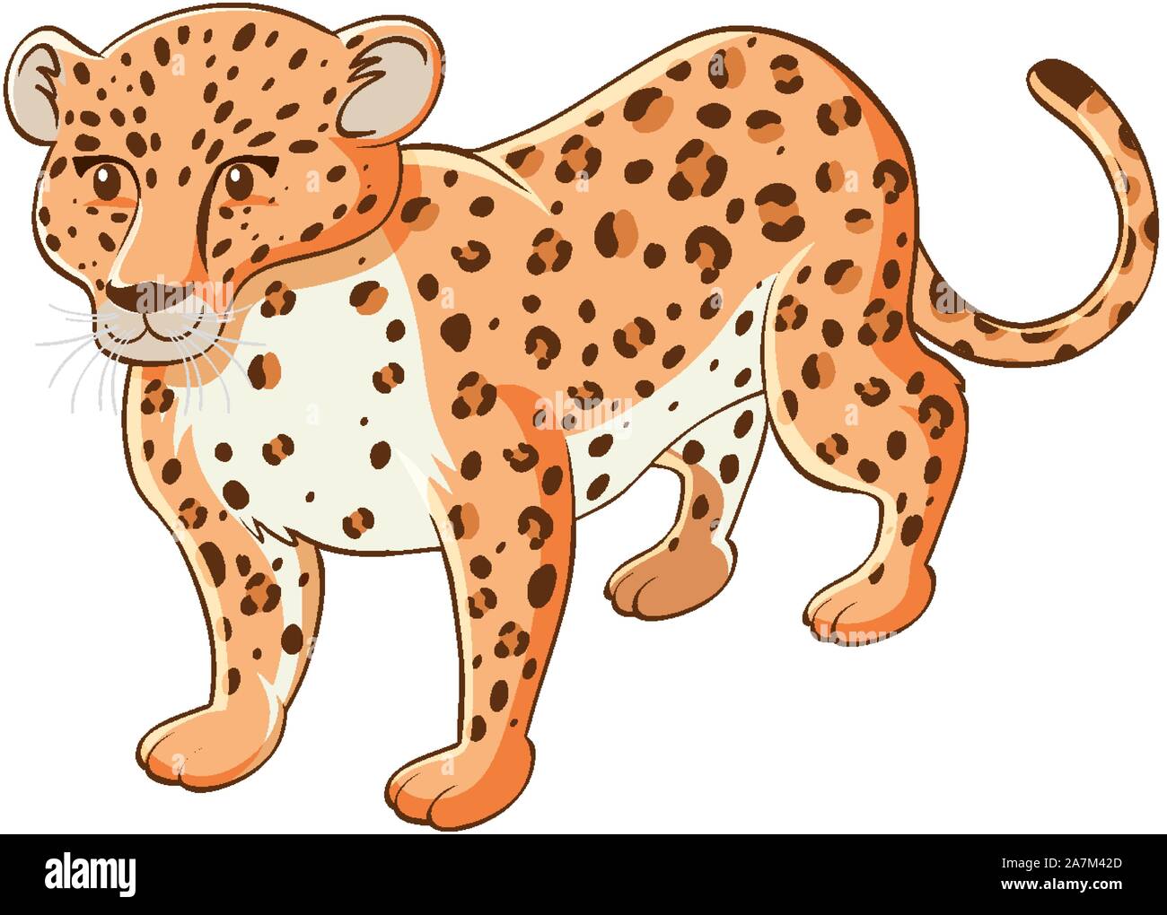 Tiger on white background illustration Stock Vector Image & Art - Alamy
