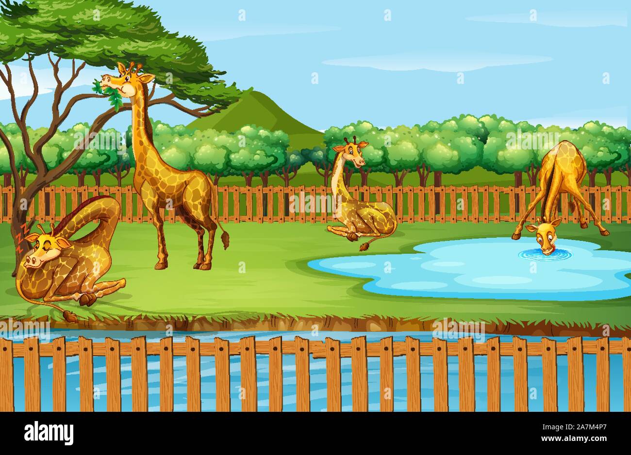 Scene with many giraffes at the zoo illustration Stock Vector Image ...