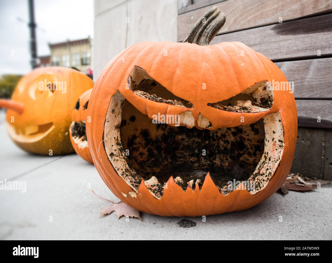 Halloween monsters are carved out in pumpkins..horrifying.. Stock Photo