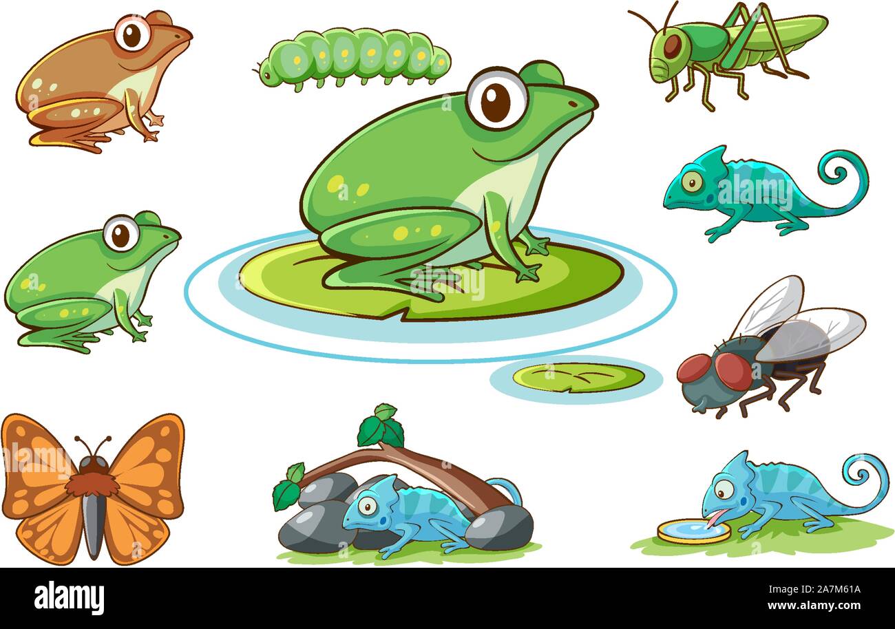 Isolated set of different insects illustration Stock Vector Image & Art ...