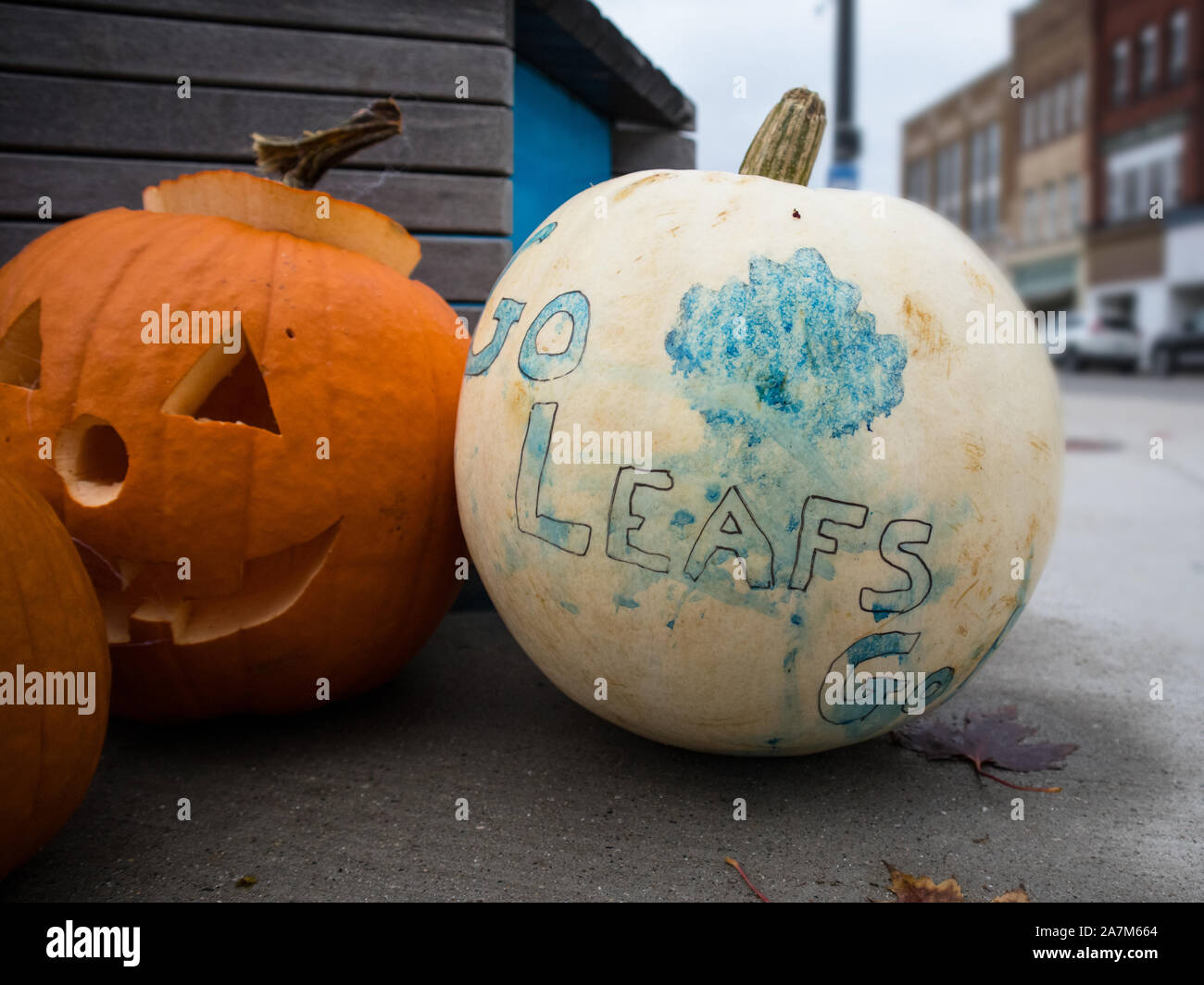 'Go Leafs Go' written on this Halloween pumpkin. Stock Photo