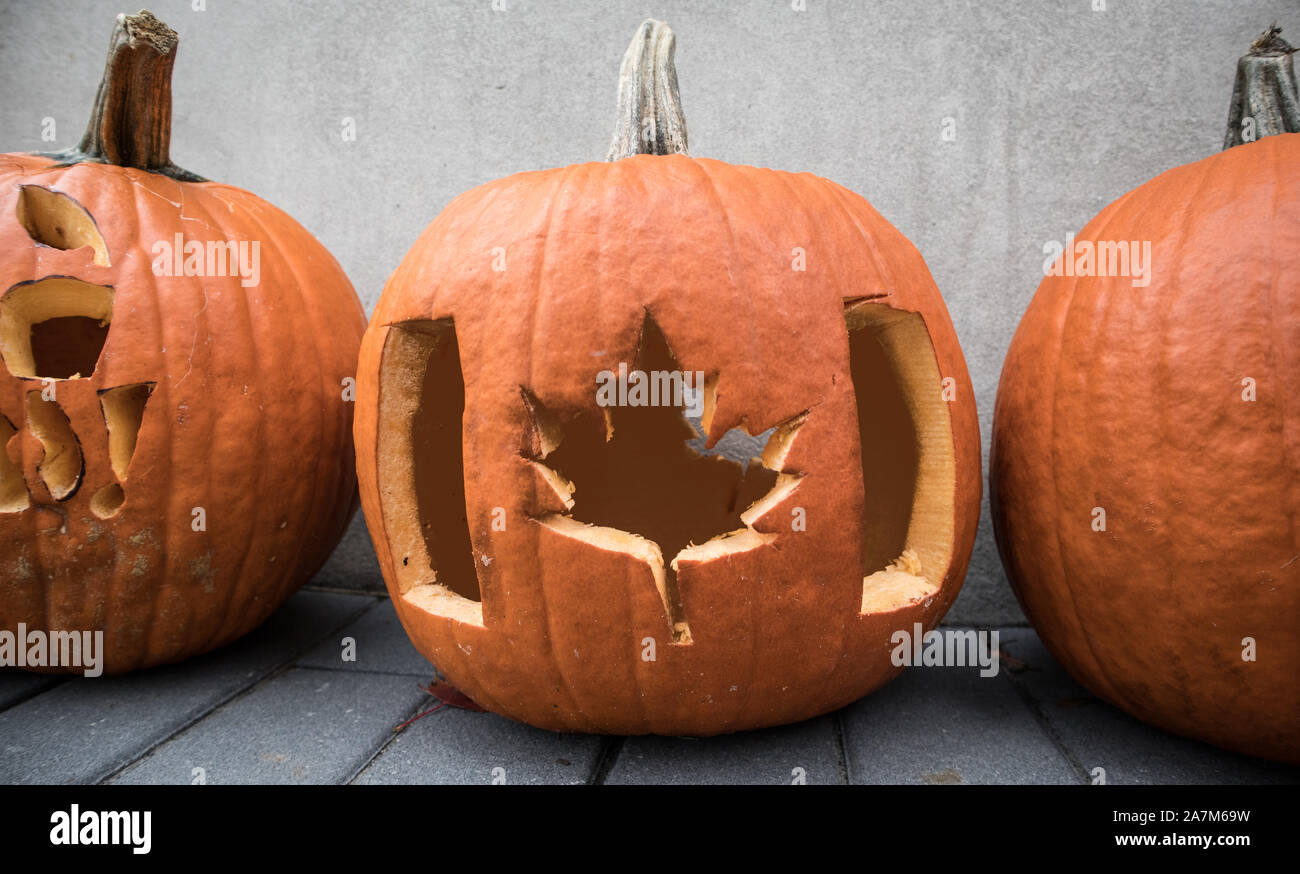 Canadian flag carved in the Halloween pumpkin. Stock Photo