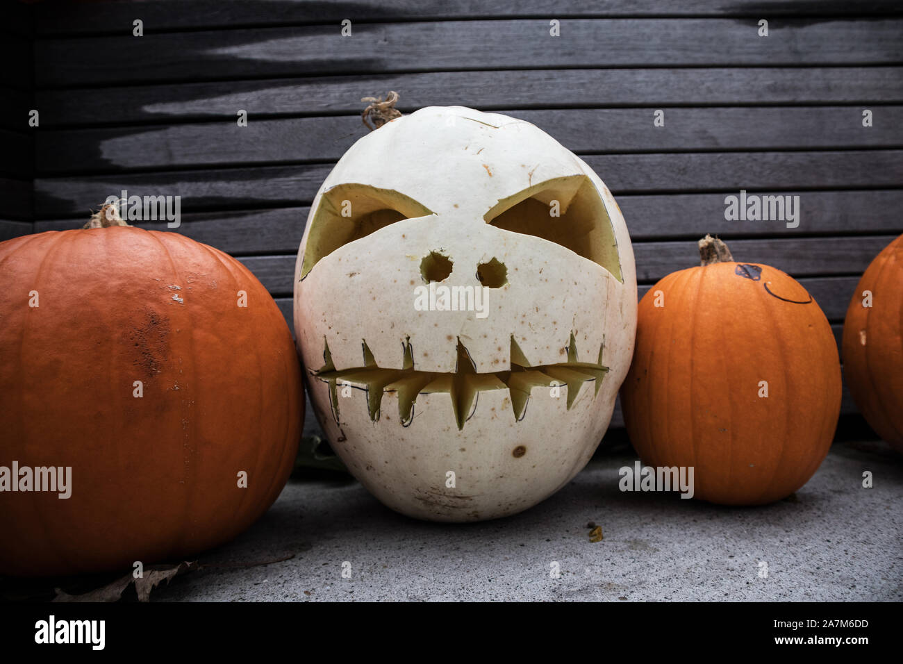 Halloween monster is carved out in a pumpkins.. Stock Photo