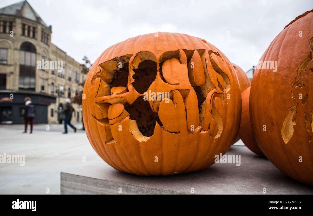 'HOCUS POCUS' is carved on a Halloween pumpkin. Stock Photo