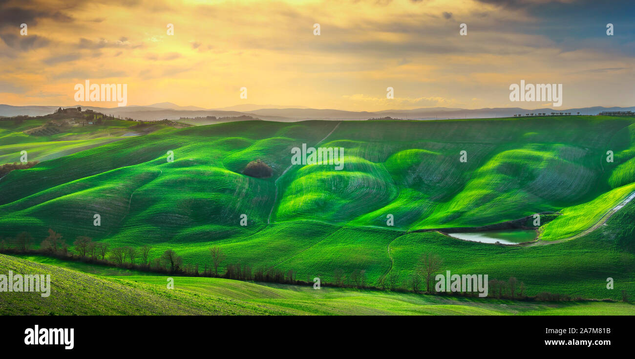 Tuscany panorama, rolling hills, trees, and green fields. Vescona, Siena Italy, Europe Stock Photo