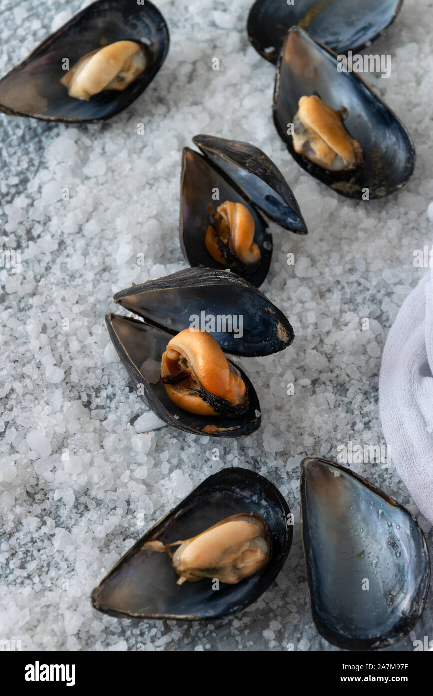 Cooked delicious black mussel, salty white background. Healthy eating ...