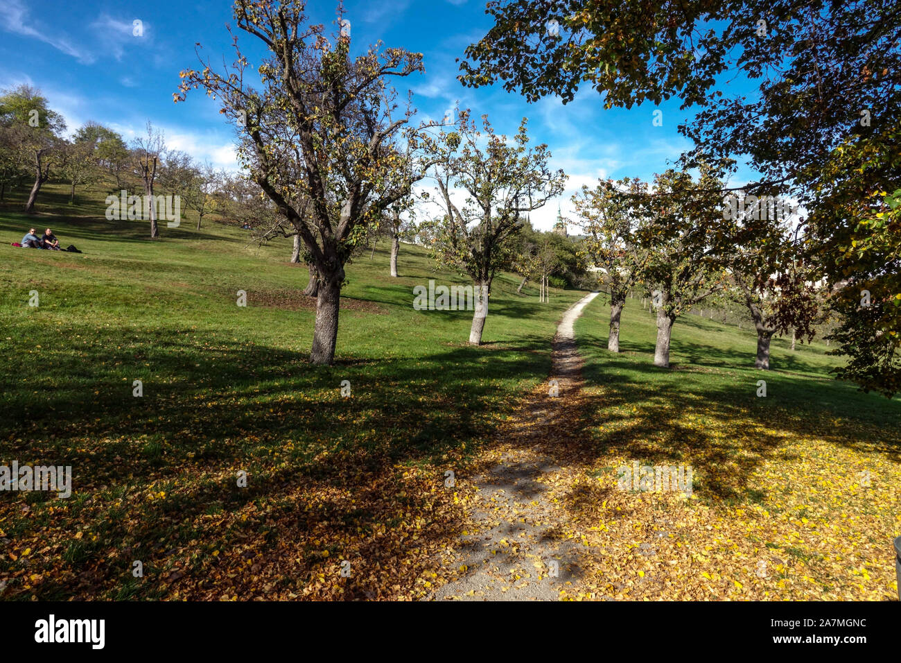 Prague park pathway to the Petrin hill in colorful autumn meadow Petrin Park Prague Stock Photo