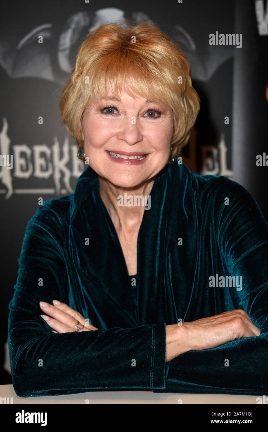 Dee Wallace-Stone at the Weekend of Hell at Crowne Plaza. Neuss, 02.11.2019 | usage worldwide Stock Photo