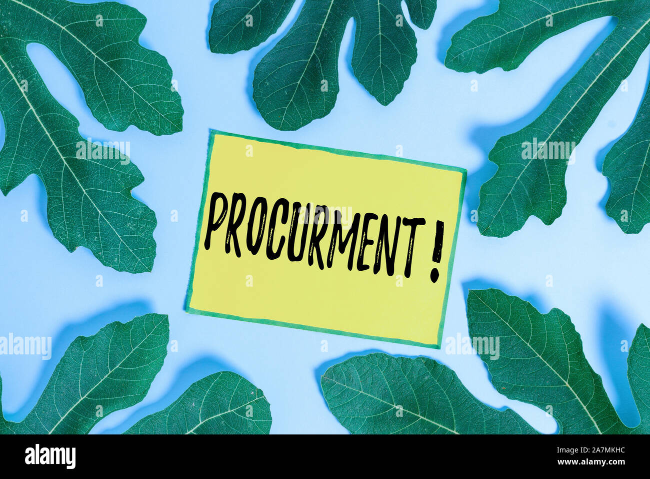 Handwriting text Procurment. Conceptual photo action of acquiring military equipment and supplies Leaves surrounding notepaper above an empty soft pas Stock Photo