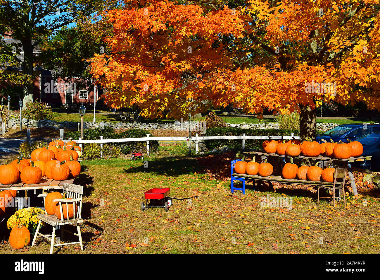 Pumpkin Stand in Massachusetts Stock Photo