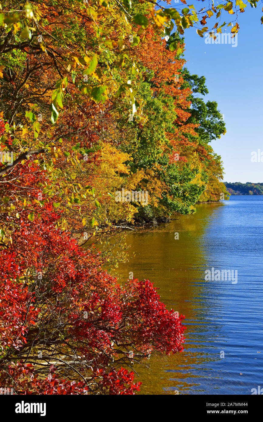 Fall color in North Andover, Massachusetts Stock Photo