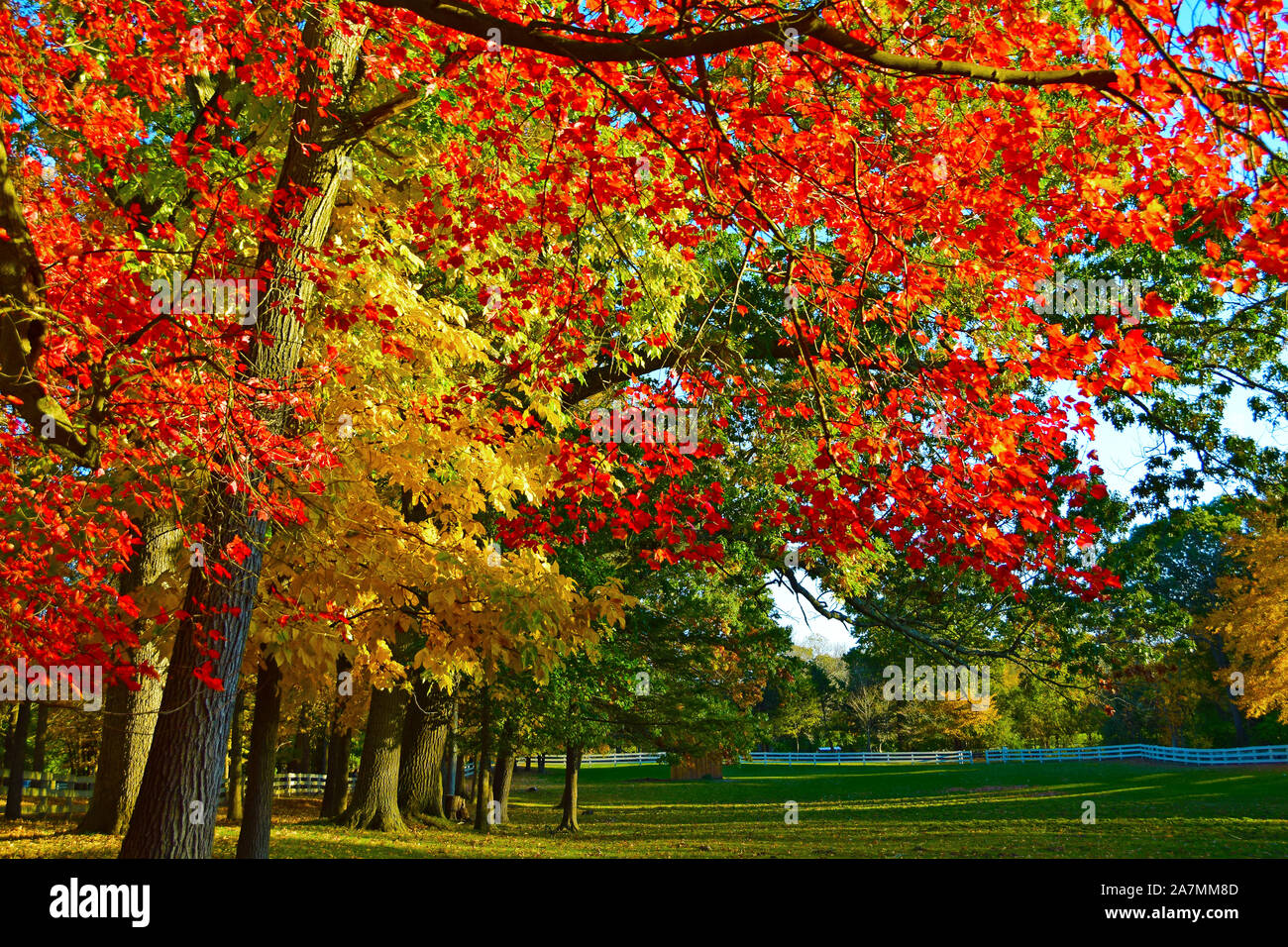 Endicott Park, Danvers, Massachusetts Stock Photo