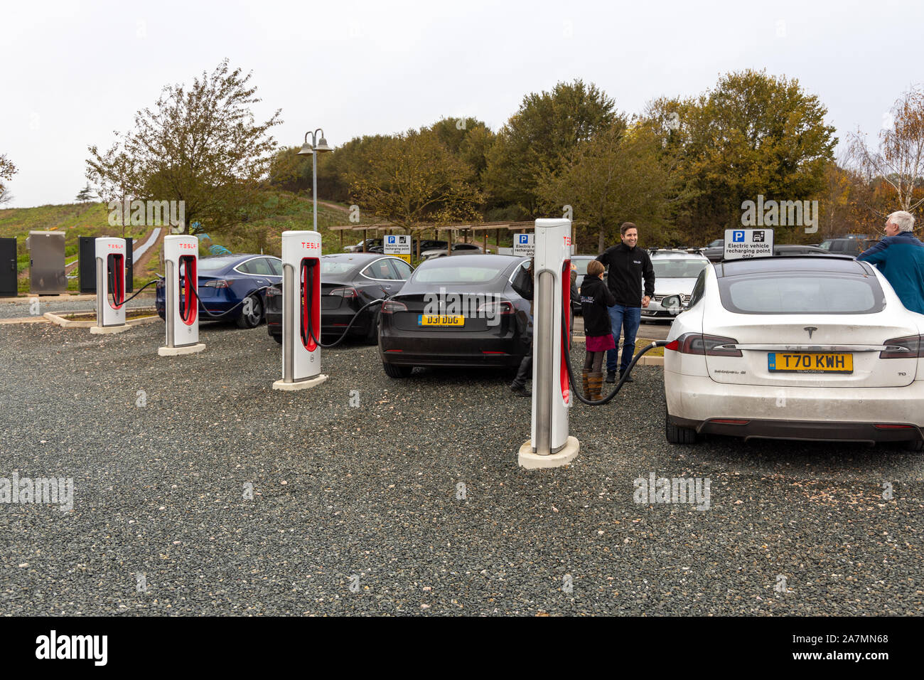 Tesla Cars charging at Darts Farm Superchargers, Exeter, Devon Stock Photo