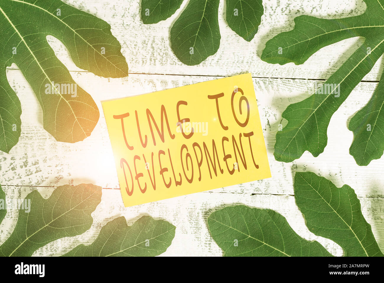 Conceptual hand writing showing Time To Development. Concept meaning a ...