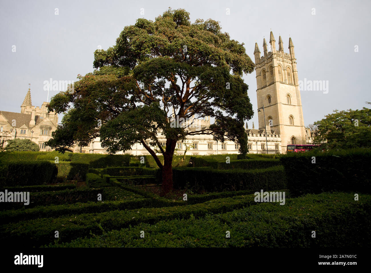 Magdalen College from  Botanic garden and arboretum. Oxford, England Stock Photo
