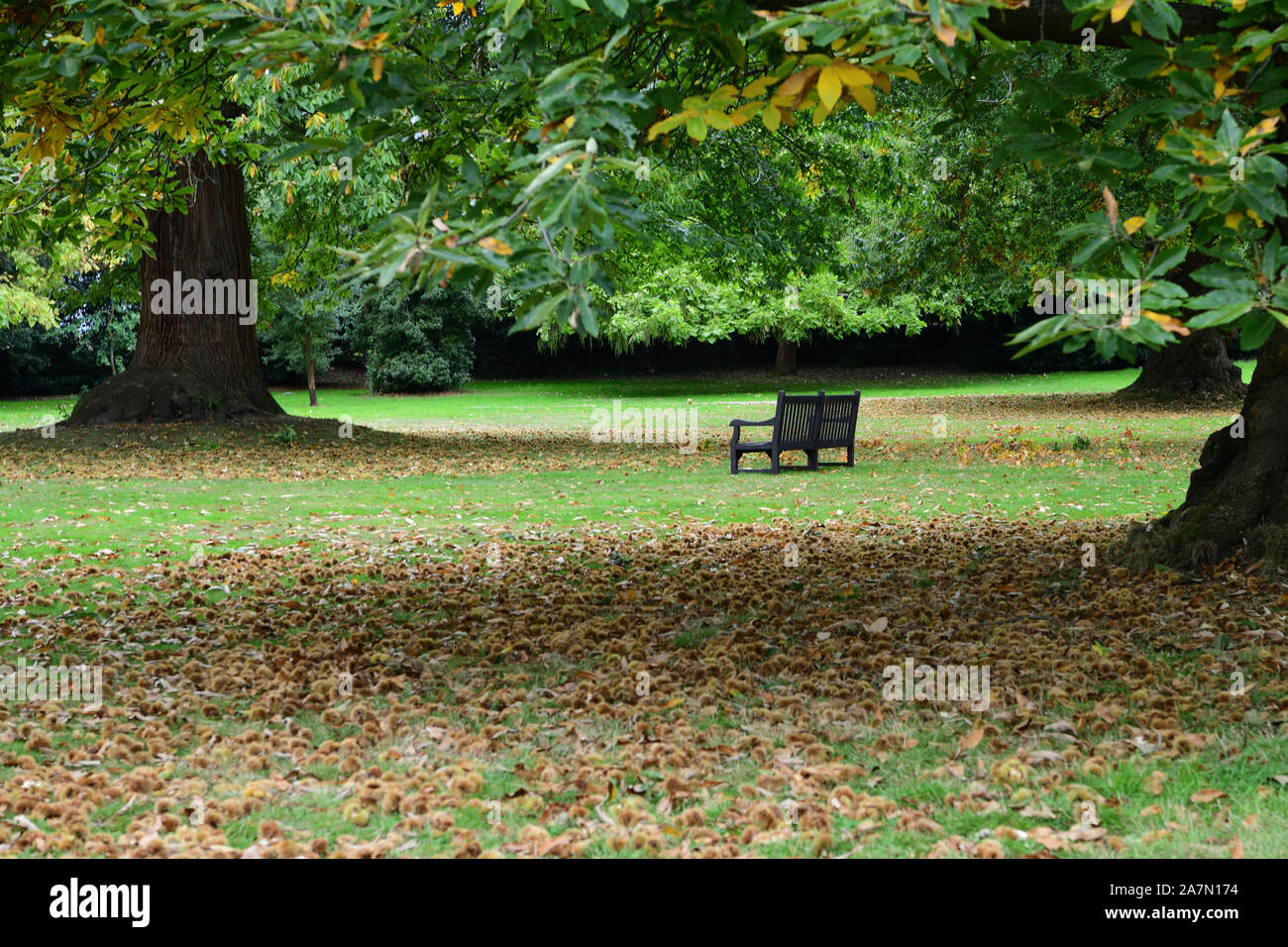 English garden autumn hi-res stock photography and images - Alamy