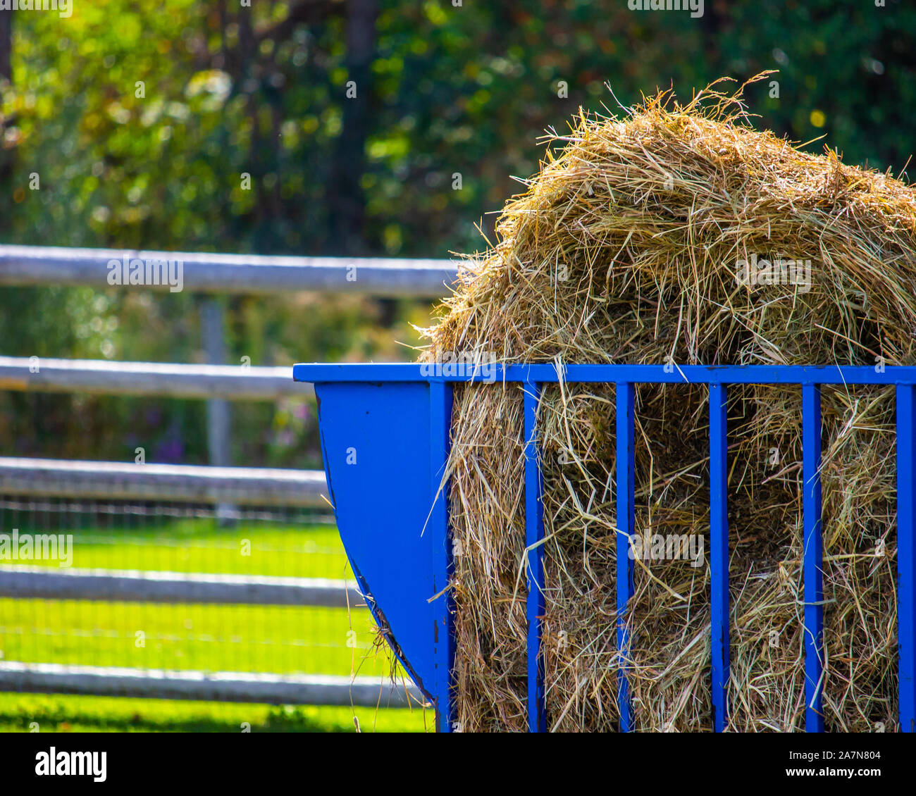 Round Bale Hay Feeder Stock Photos Round Bale Hay Feeder Stock