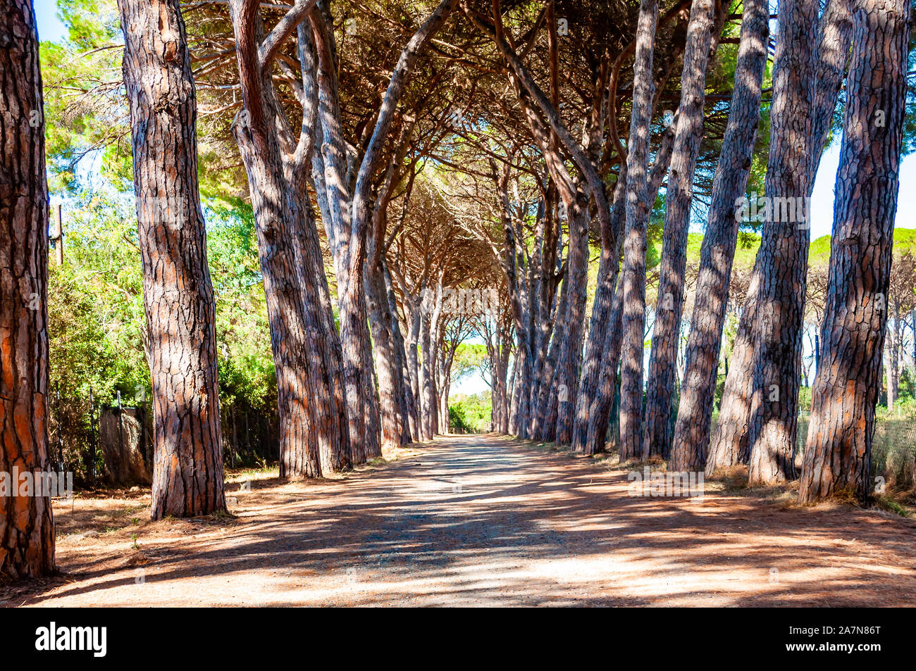 Orbetello, italy hi-res stock photography and images - Page 6 - Alamy