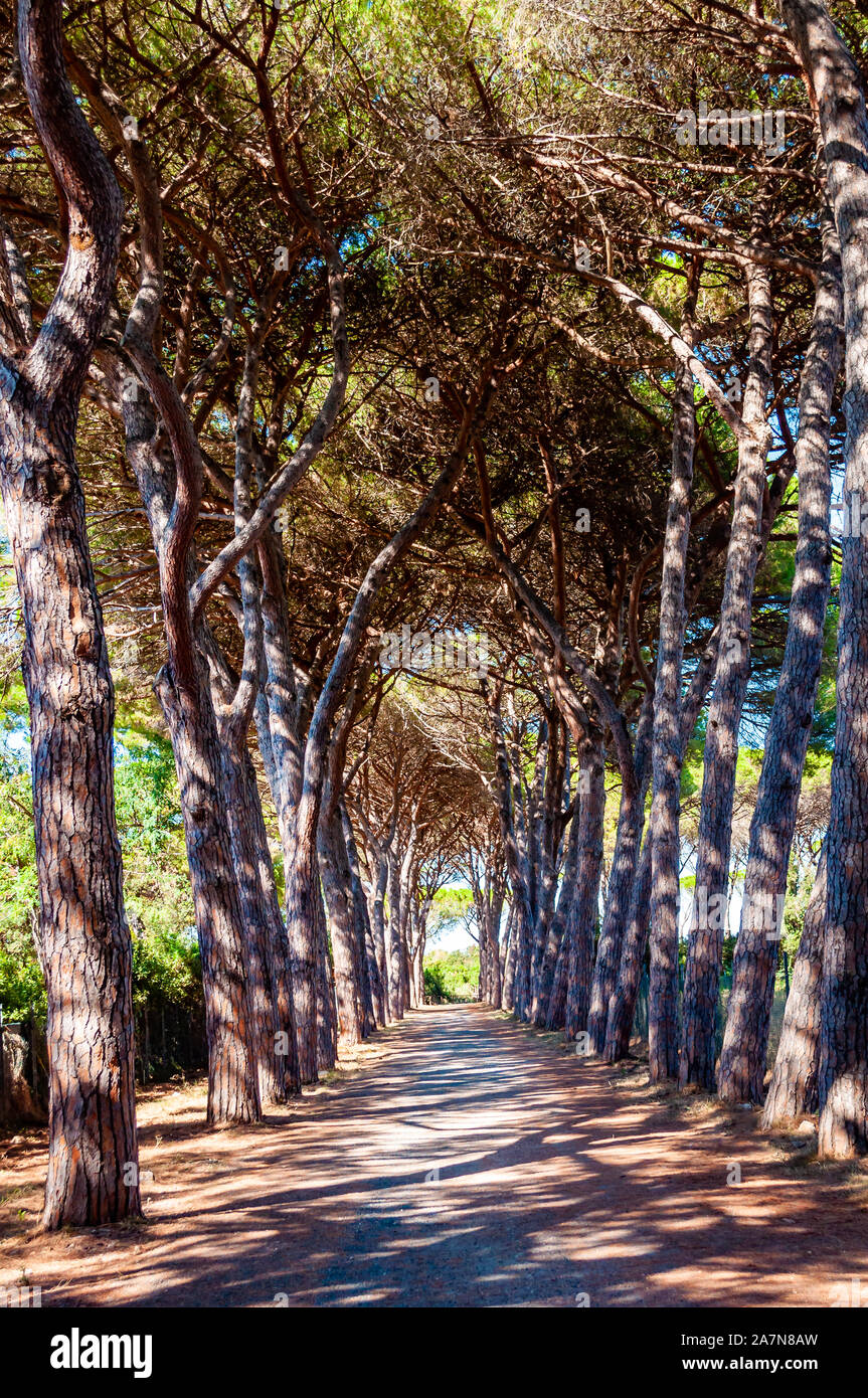 Alley near beach in long beach hi-res stock photography and images - Alamy