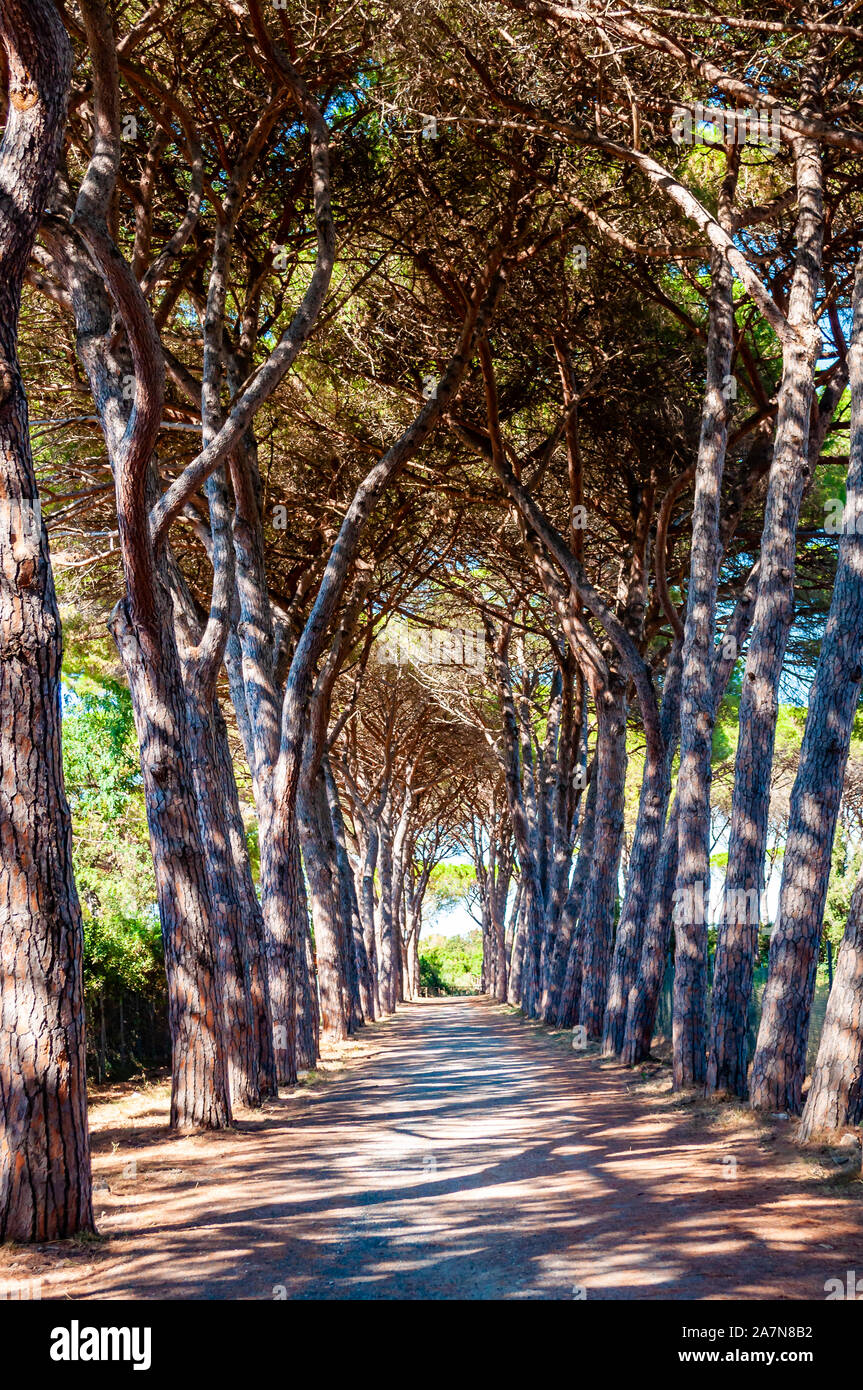Alley near beach in long beach hi-res stock photography and images - Alamy