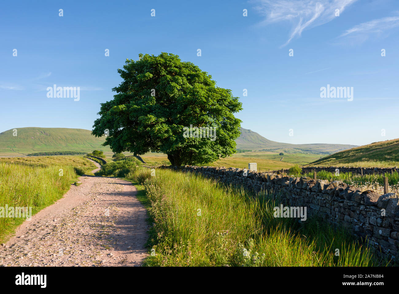 The footpath alongside the Settle to Carlisle Railway looking south towards the Rubblehead Viaduct in the Yorkshire Dales National Park, England. Stock Photo