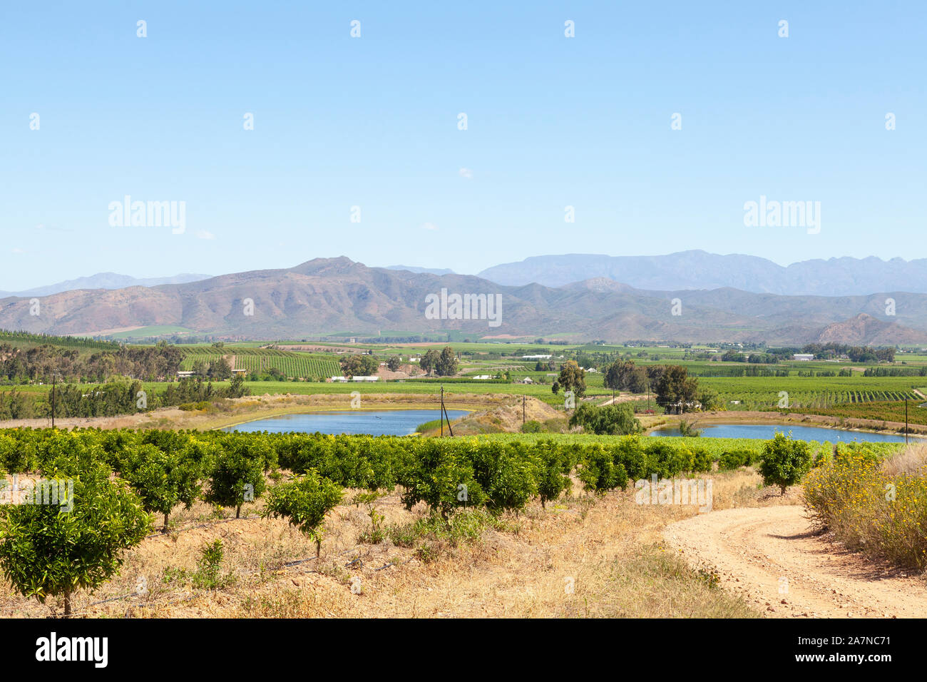 African orchard hires stock photography and images Alamy