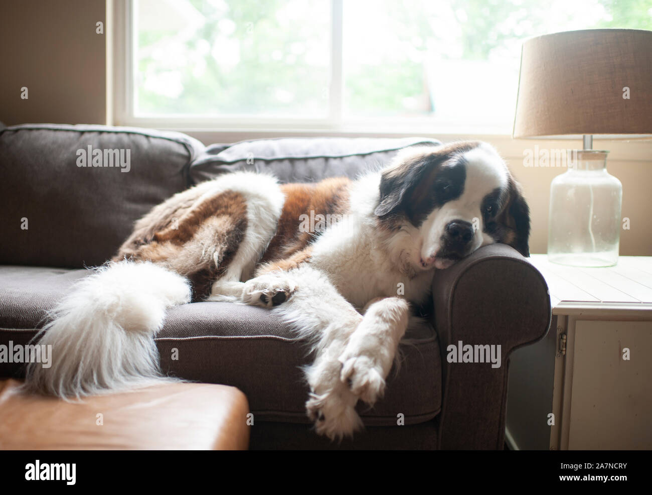 Big comfy couch hi res stock photography and images Alamy